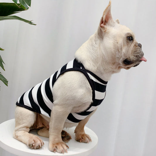 French bulldog - dog clothes - cute